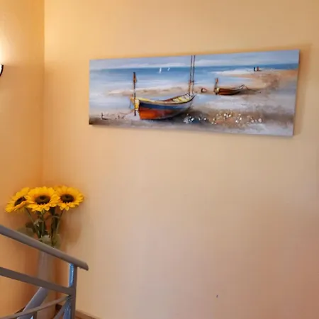 Kazlarov 게스트하우스